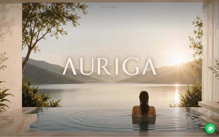Auriga Website